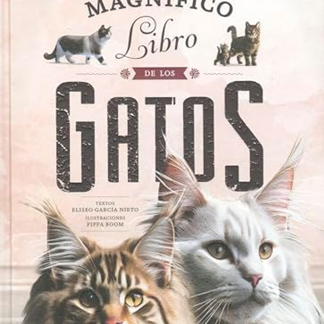 El Magnifico Libro De Los Gatos 1