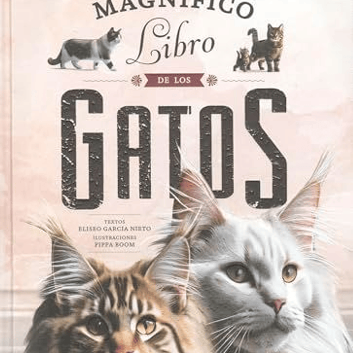 El Magnifico Libro De Los Gatos 1
