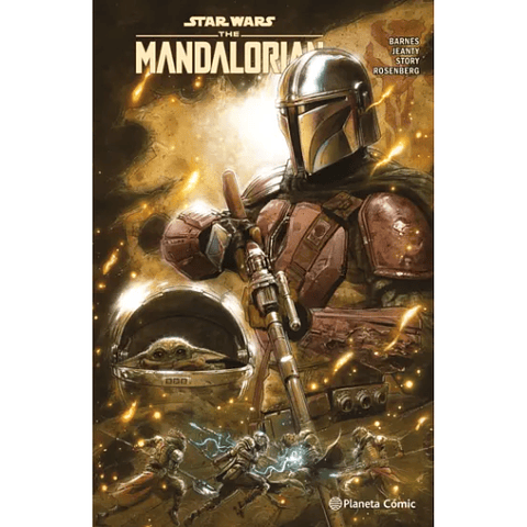 Star Wars The Mandalorian