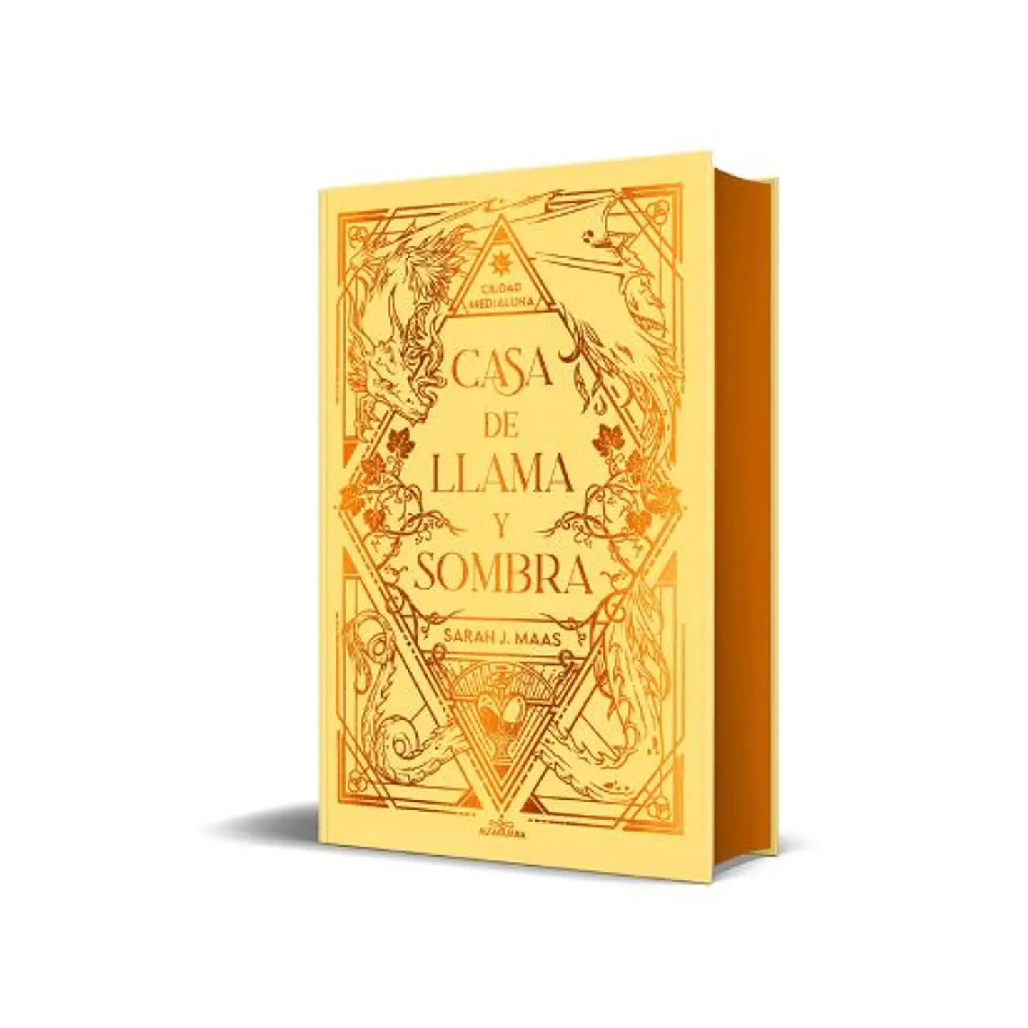 Ciudad Medialuna 3. Casa De Llama Y Sombra (Edicion Especial Limitada)  1