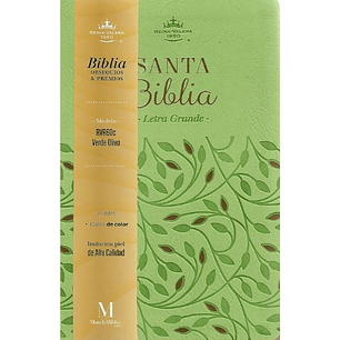 Biblia Rvr1960 Letra Grande Verde Olivo Coleccion Obsequios Y Premios