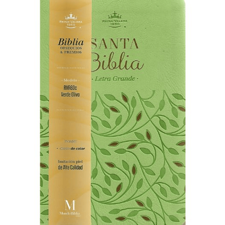 Biblia Rvr1960 Letra Grande Verde Olivo Coleccion Obsequios Y Premios 1