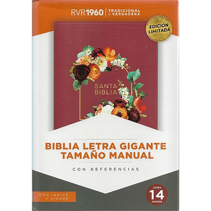 Biblia Rvr1960 Letra Gigante Tamaño Manual Rosa Granada Con Cierre E Indice