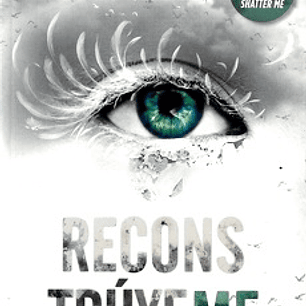 Destrozame 4. Reconstruyeme