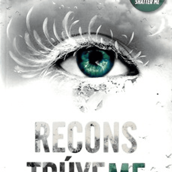 Destrozame 4. Reconstruyeme 1