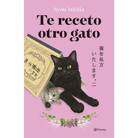 Te Receto Otro Gato
