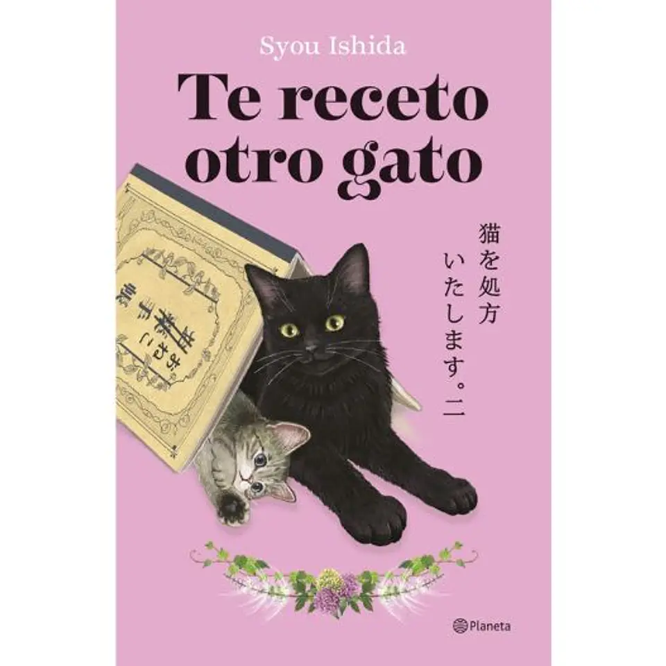 Te Receto Otro Gato 1