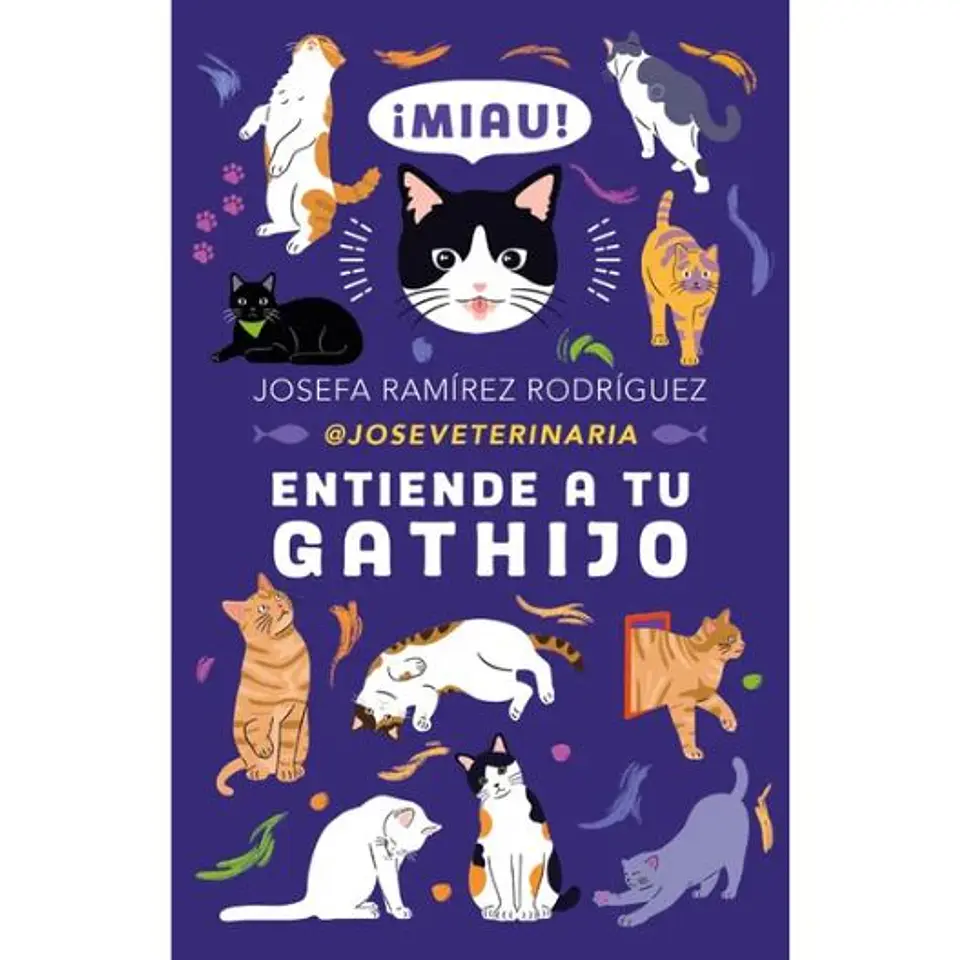 Entiende A Tu Gathijo 1