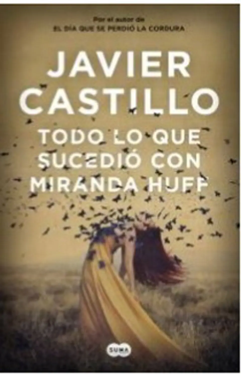 Todo Lo Que Sucedio Con Miranda Huff 1