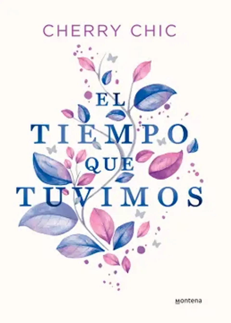 El Tiempo Que Tuvimos 1