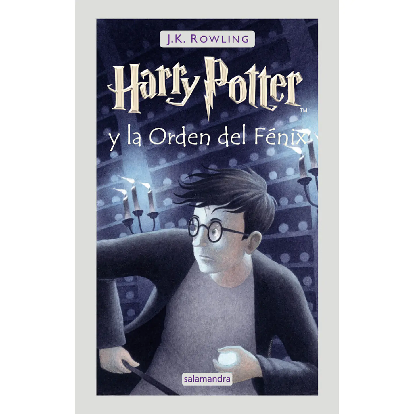 Harry Potter 5 (Td), Harry Potter La Orden Del Fenix 1
