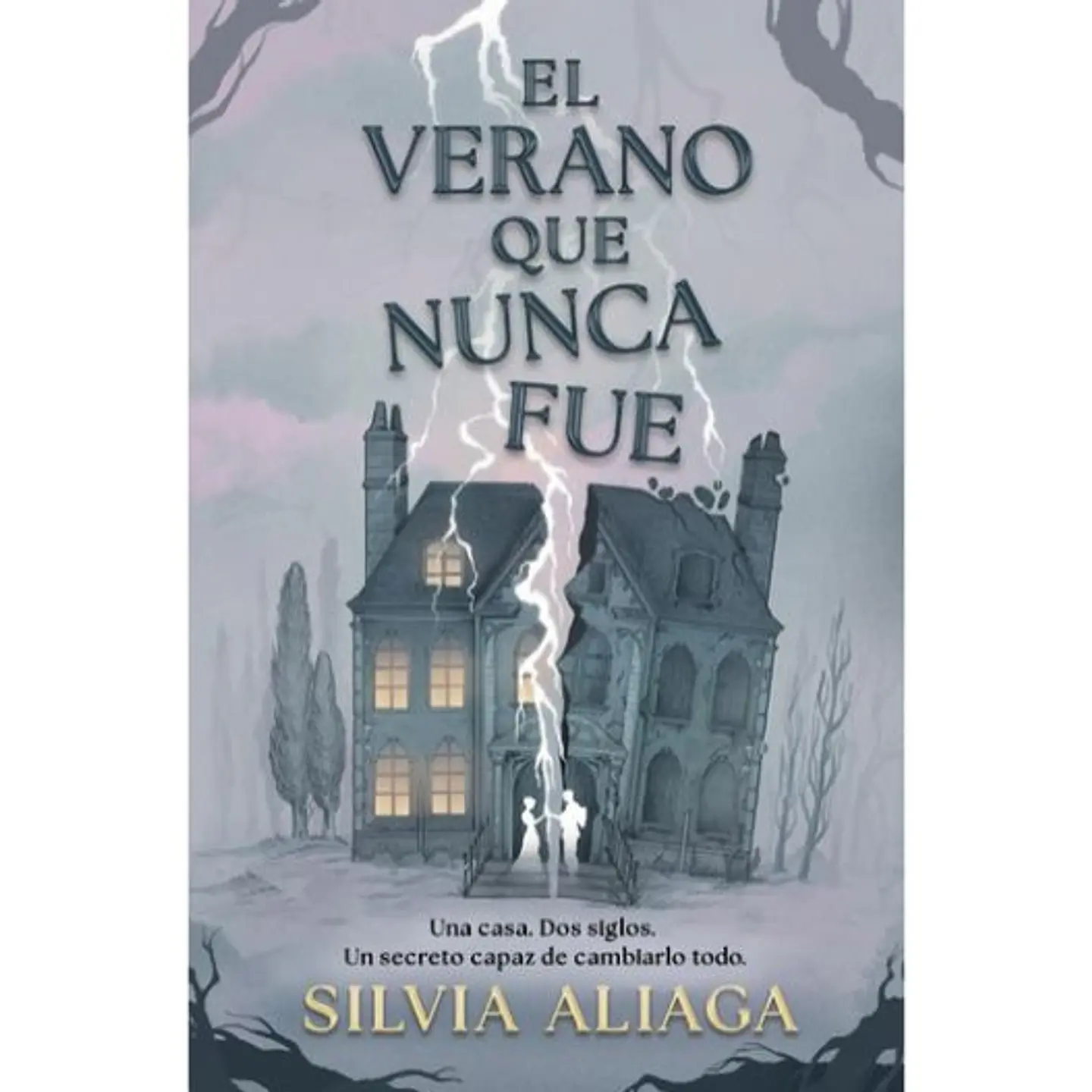 El Verano Que Nunca Fue 1