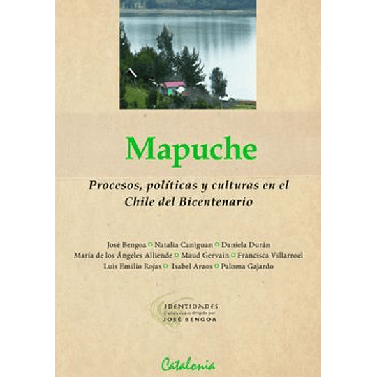 Mapuche. Procesos Politicas Y Culturas En El Chile Del Bicentenario