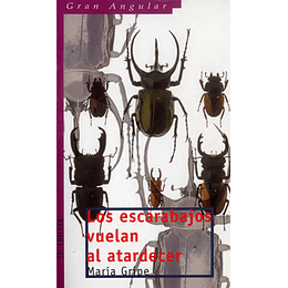 Los Escarabajos Vuelan Al Atardecer