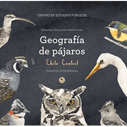 Geografia De Pajaros Chile Central