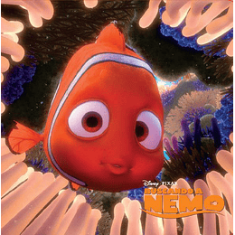 Buscando A Nemo