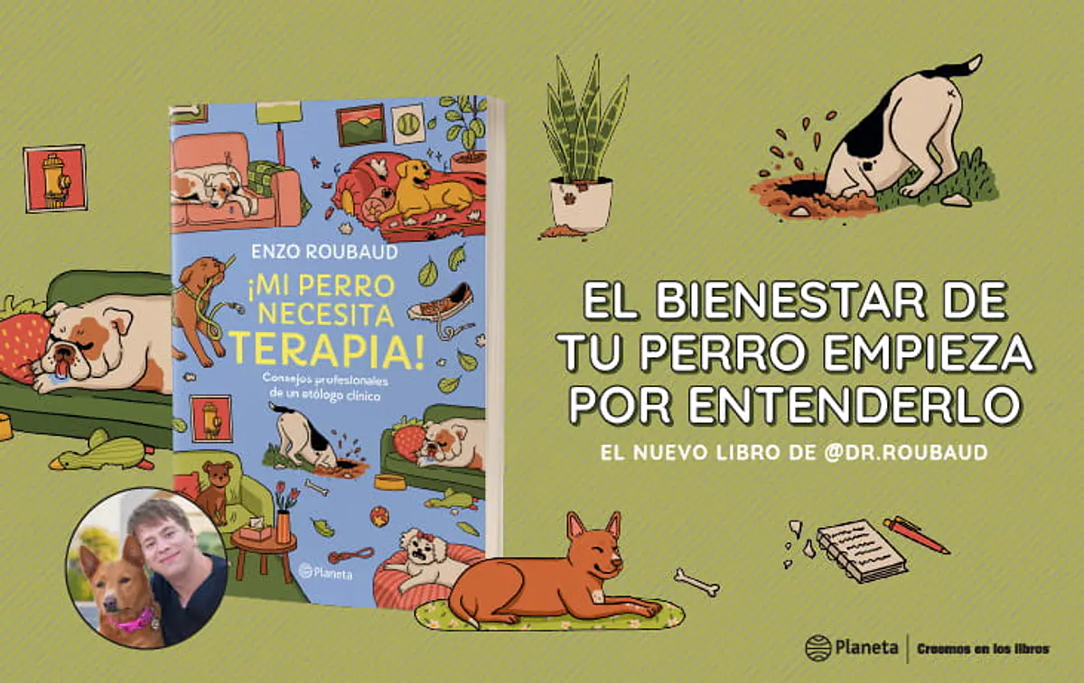Título del banner