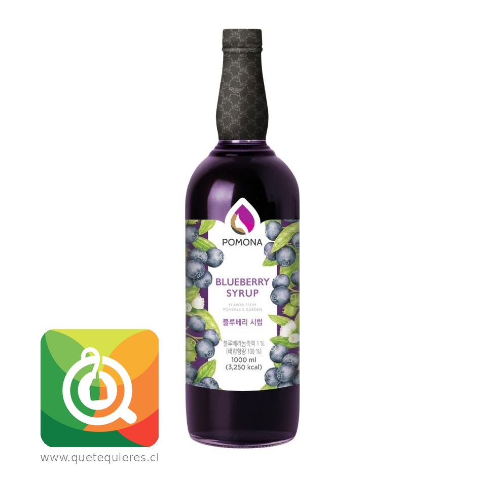 Pomona Syrup Arándano 1