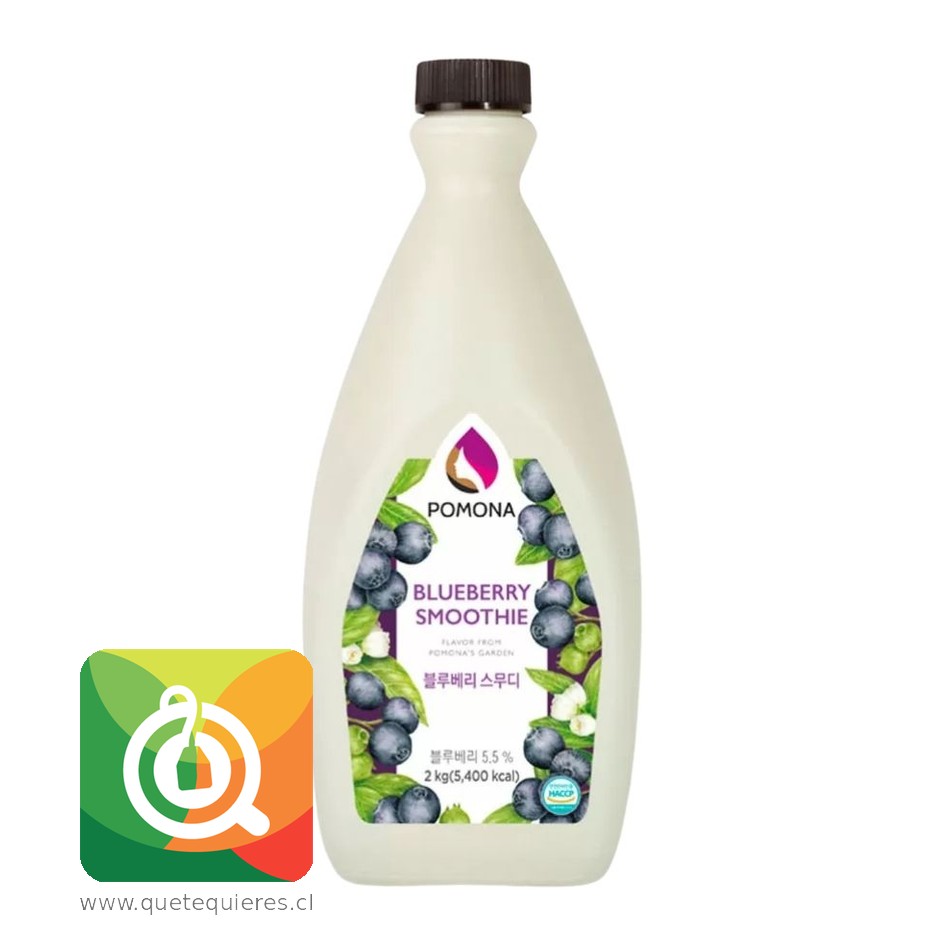Pomona Salsa Frutal Arándano Smoothie 1