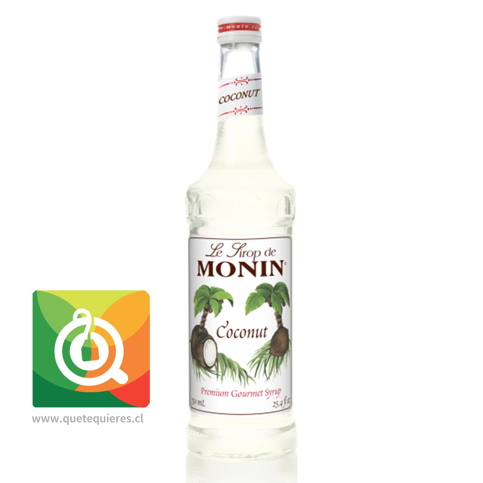 Monin Syrup Coco- Image 1