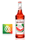 Monin Syrup Sandia - Image 1