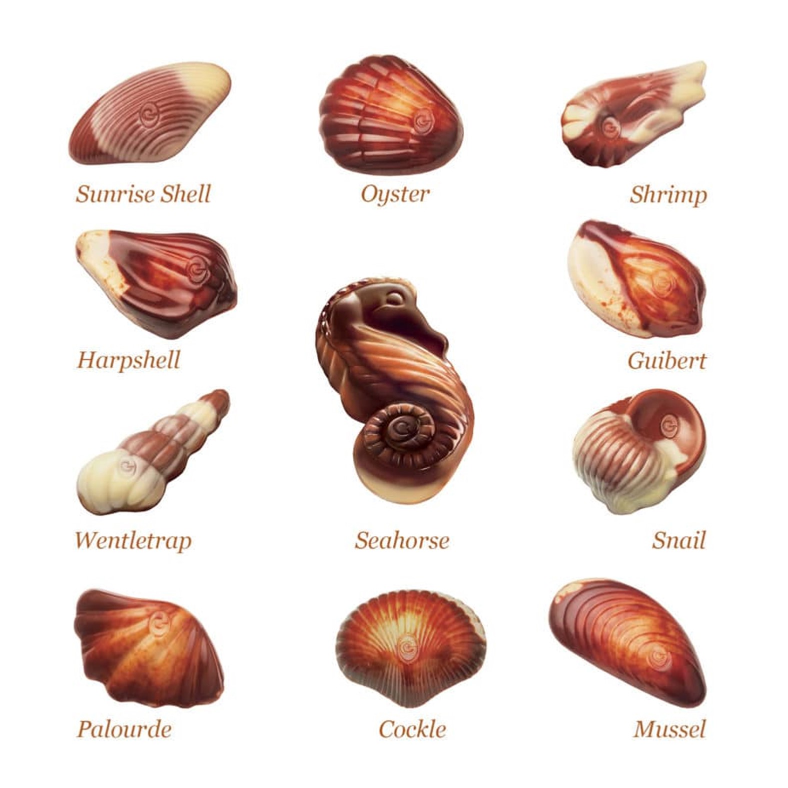 Guylian Bombones de Chocolate - The Original Sea Shell- Image 3