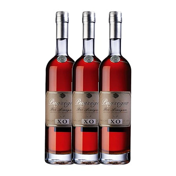 ARMAGNAC PUYSEGUR XO Bas Armagnac vol. 40% - 70cl 4