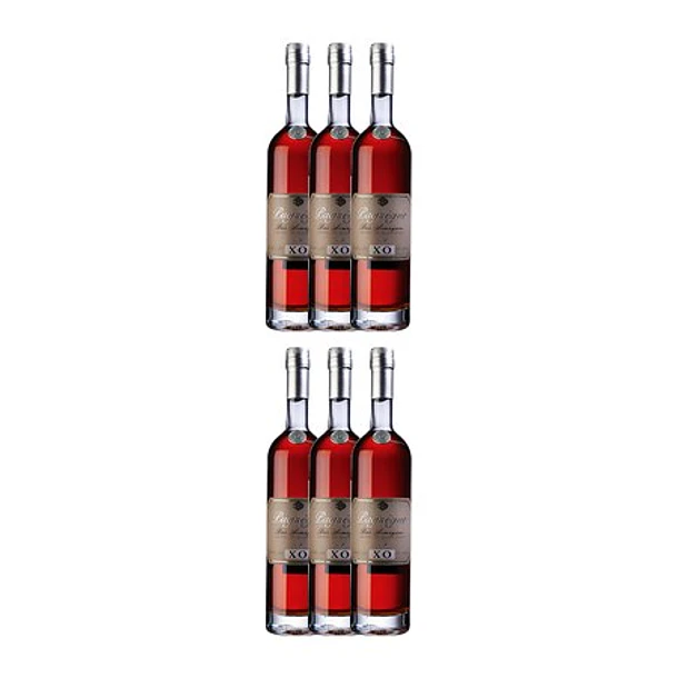 ARMAGNAC PUYSEGUR XO Bas Armagnac vol. 40% - 70cl 5
