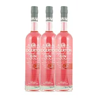 Edgerton Original Pink Gin vol. 43% 70cl 4