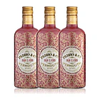 Vermouth de Tarragona Padró and Co. Rojo Clásico - vol. 18% - 75cl 3