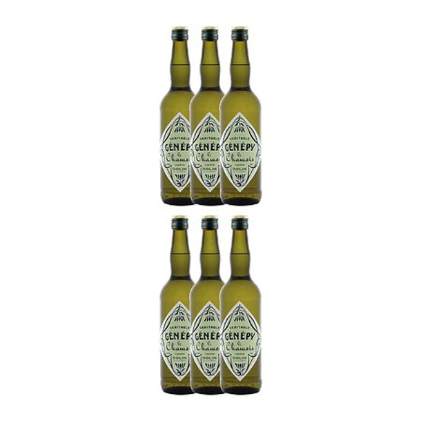 DOLIN - Veritable Génépy Le Chamois - vol. 45% - 70cl 4