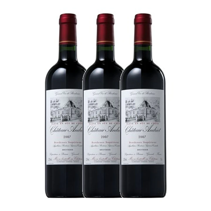 Château Andriet Tinto Bordeaux 2019 3