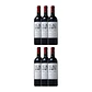 Château Andriet Tinto Bordeaux 2019 - Miniatura 4