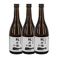 SAKE HIROSHIMA KAMOIZUMI HAJIME JUNMAI vol. 15,5% - 72cl - thumbnail 3