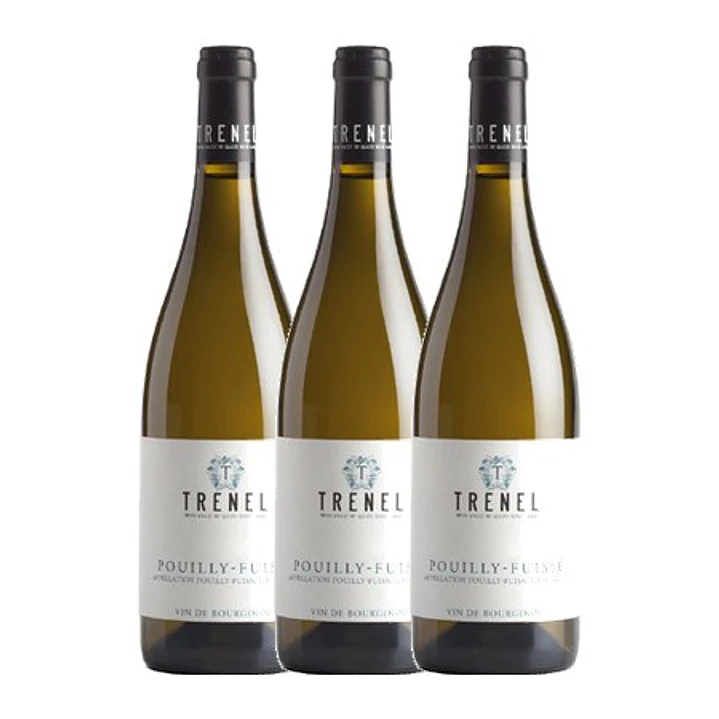 M. CHAPOUTIER TRENEL Pouilly-Fuissé Blanc 2018 - 75cl 3