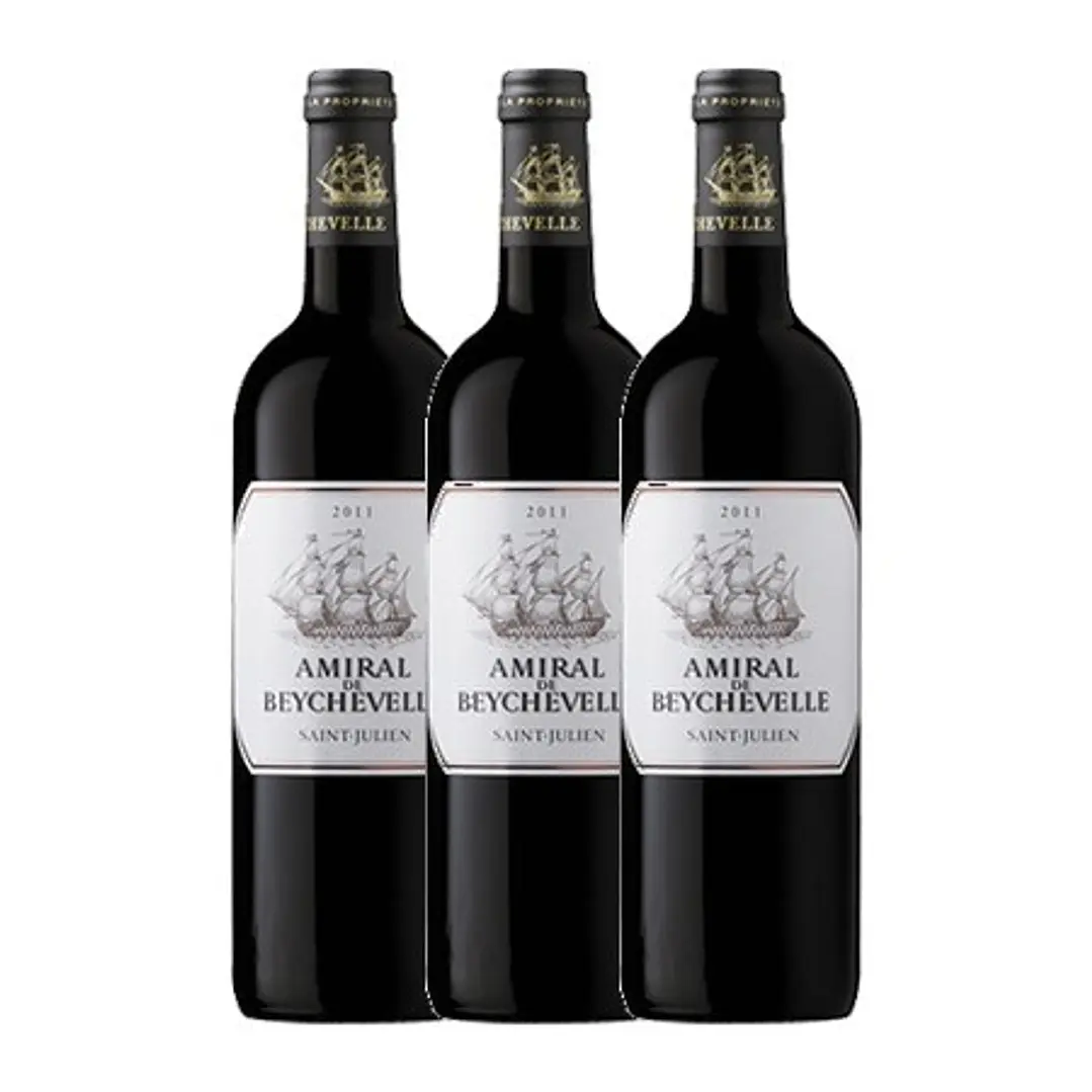 AMIRAL DE BEYCHEVELLE 2011 3