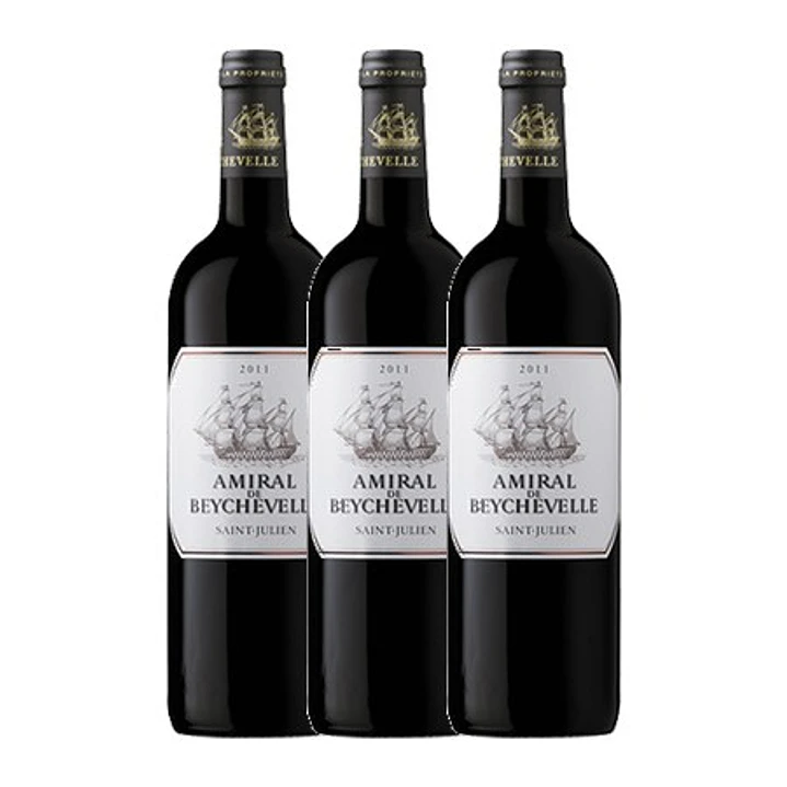 AMIRAL DE BEYCHEVELLE 2011 3