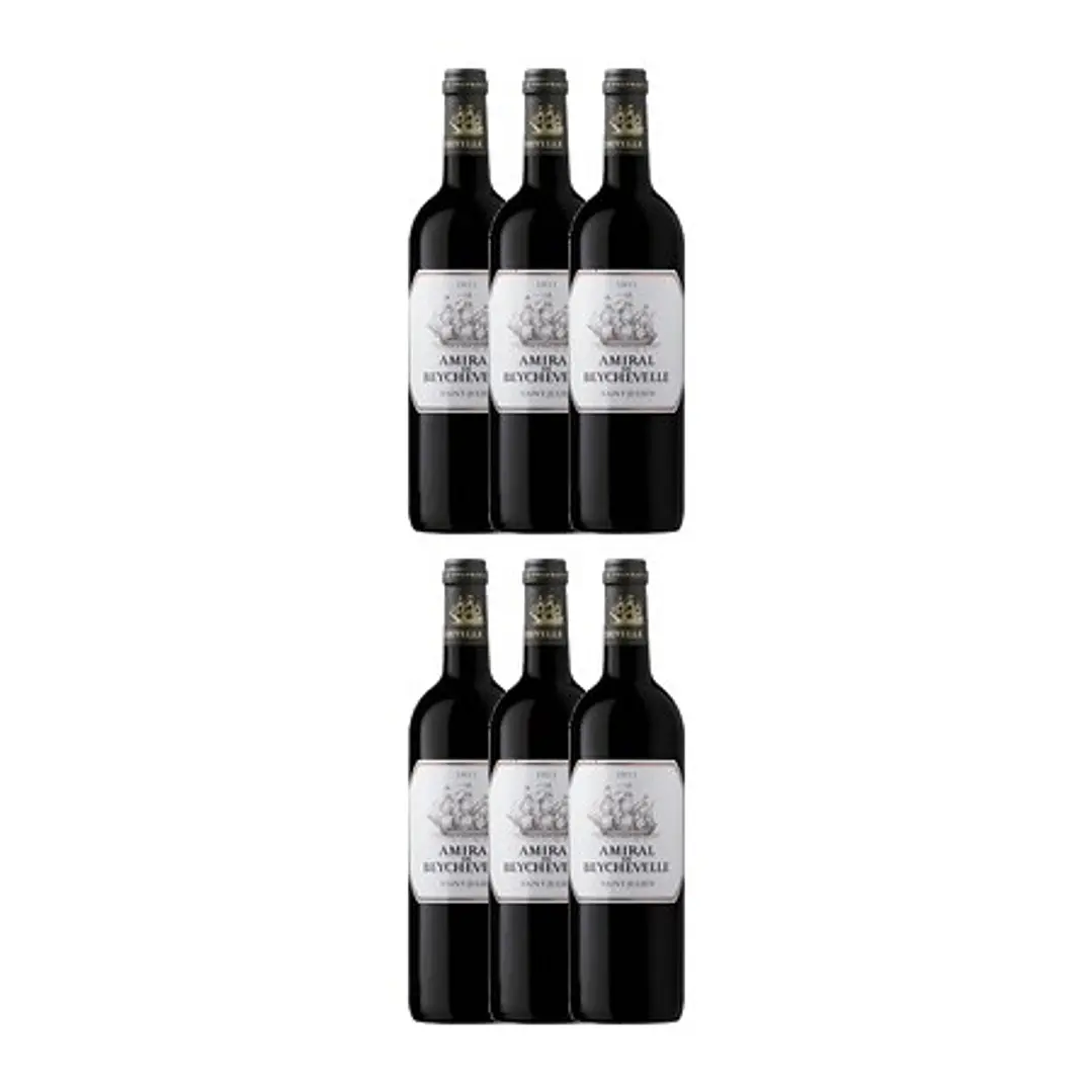 AMIRAL DE BEYCHEVELLE 2011 4