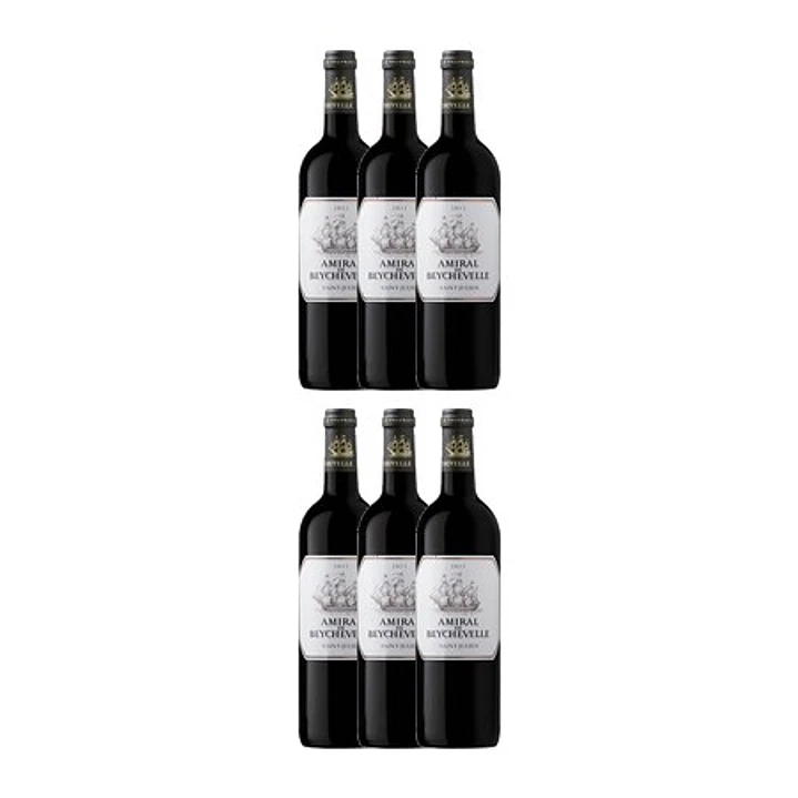 AMIRAL DE BEYCHEVELLE 2011 4