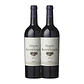 Domaine de Baron'Arques Tinto Limoux 2010 - Thumbnail 2