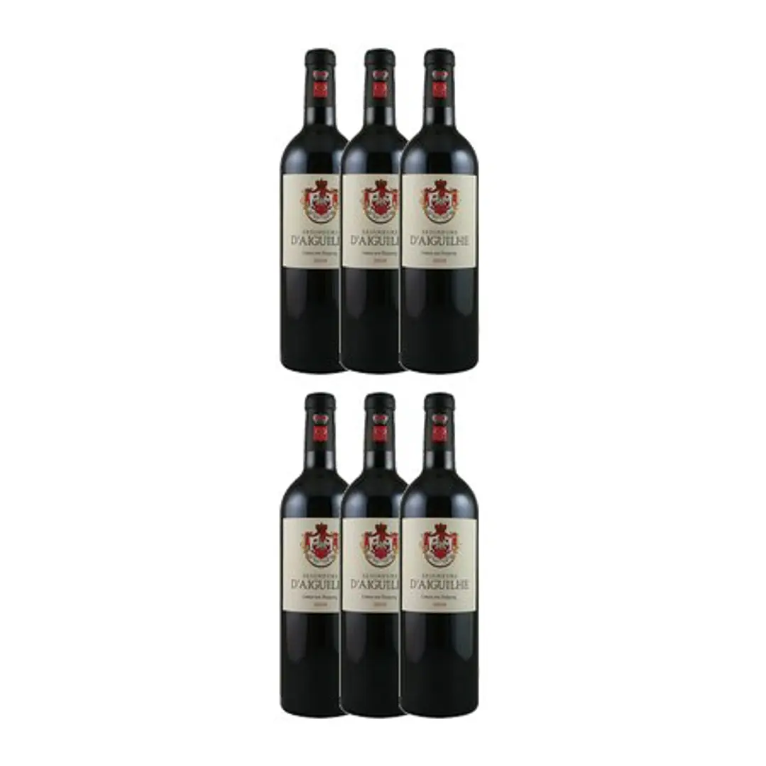 SEIGNEURS D´AIGUILHE Tinto Côtes de Castillon 2010 4