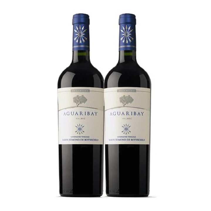 Flechas de Los Andes Aguaribay Tinto Mendoza 2020 2