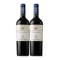 Flechas de Los Andes Aguaribay Tinto Mendoza 2020 - Thumbnail 2