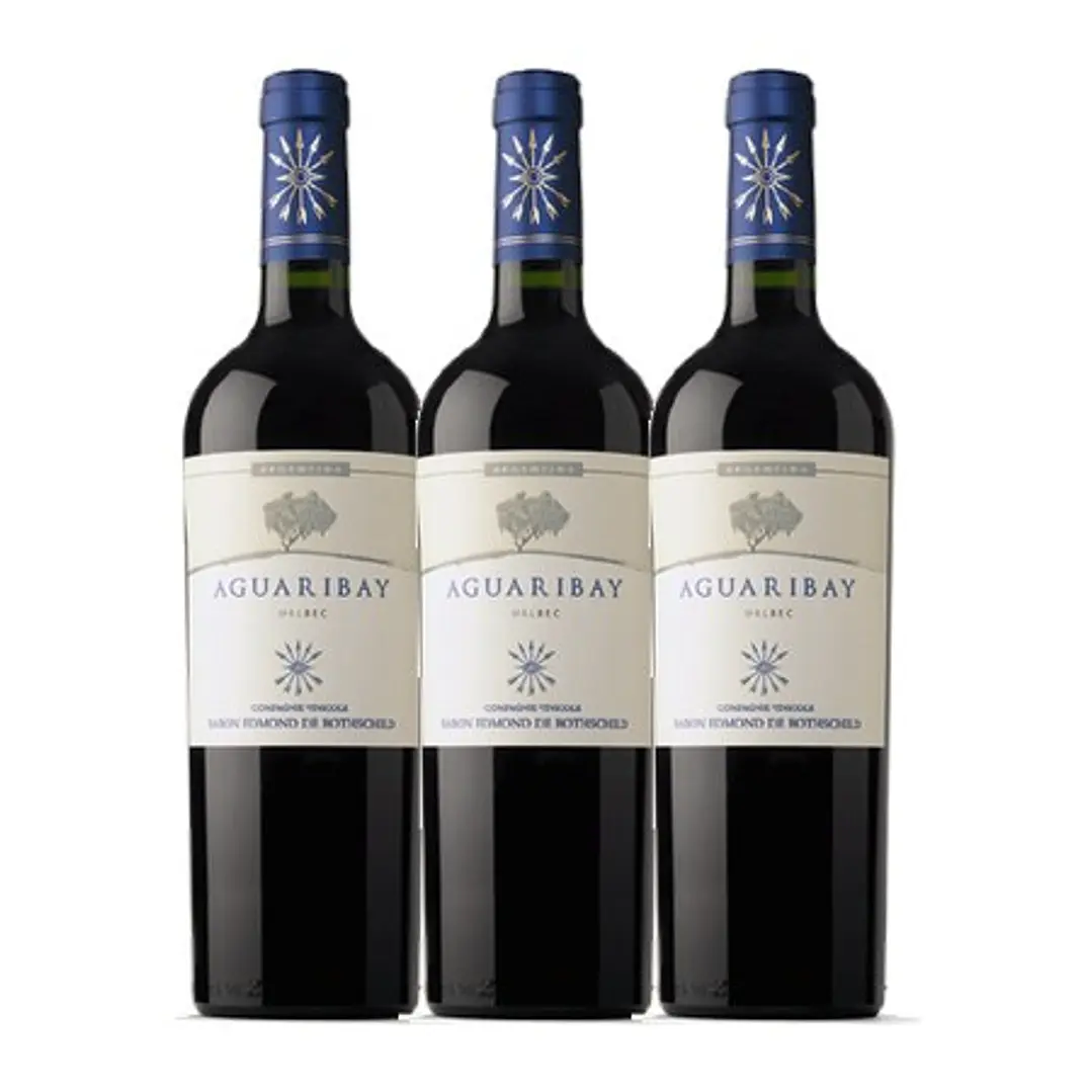 Flechas de Los Andes Aguaribay Tinto Mendoza 2020 3