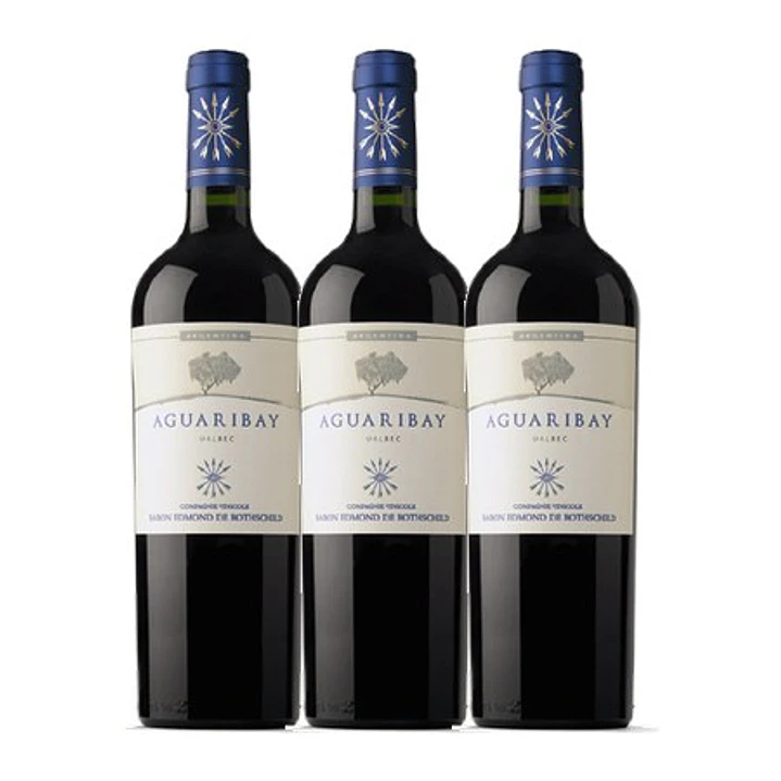 Flechas de Los Andes Aguaribay Tinto Mendoza 2020 3