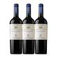 Flechas de Los Andes Aguaribay Tinto Mendoza 2020 - Thumbnail 3