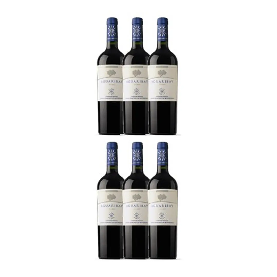 Flechas de Los Andes Aguaribay Tinto Mendoza 2020 4