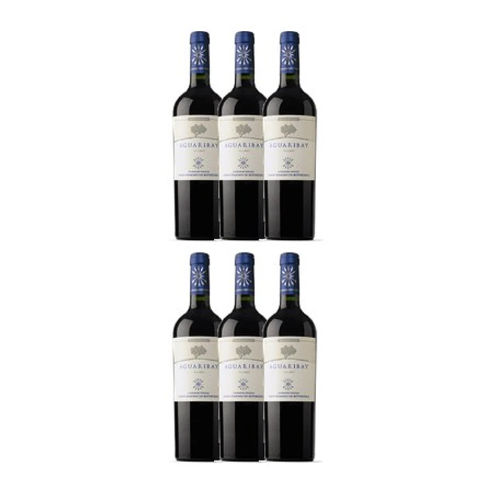 Flechas de Los Andes Aguaribay Tinto Mendoza 2020 4