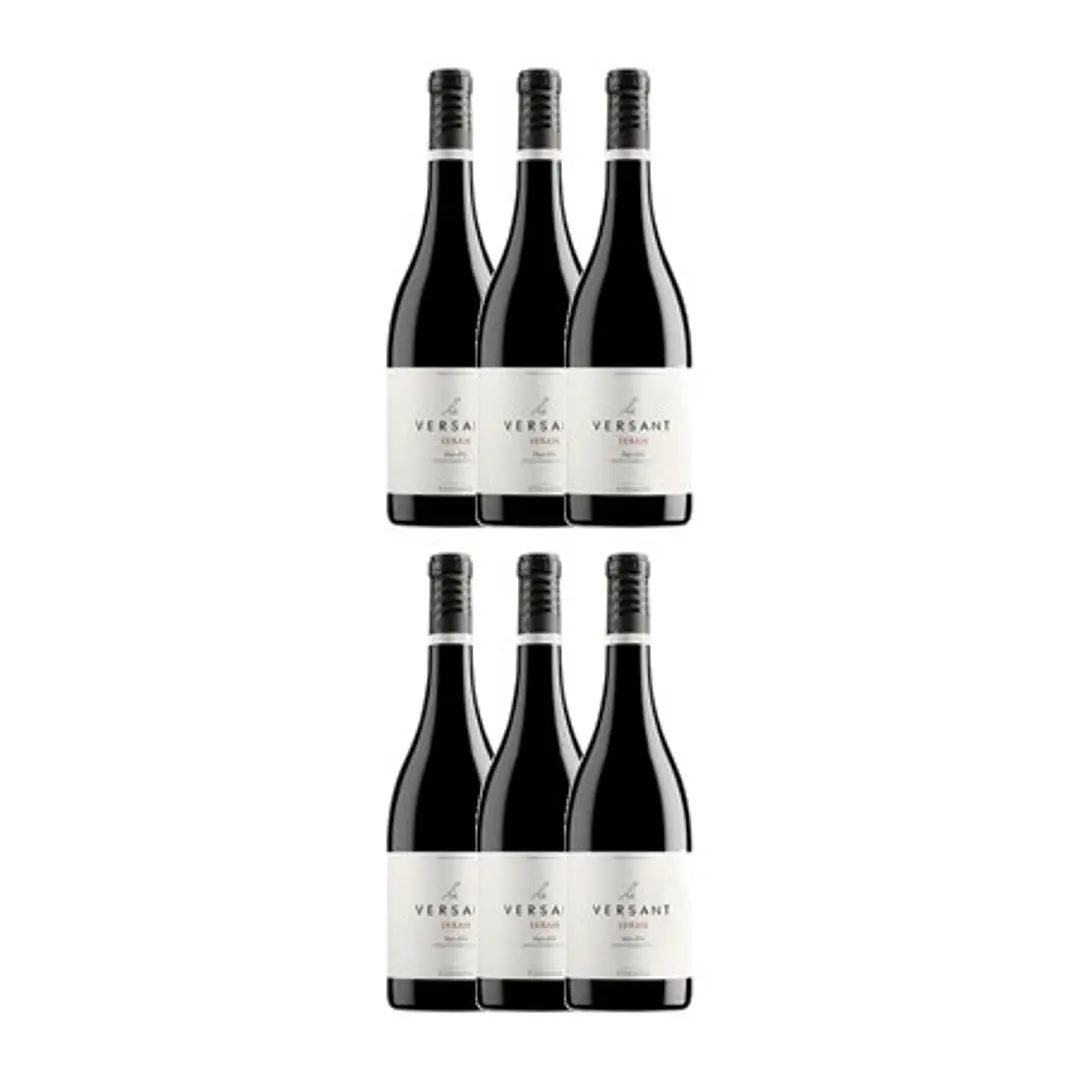 LE VERSANT SYRAH - Les Vignobles Foncalieu 2017 - VEGAN - 75cl 4
