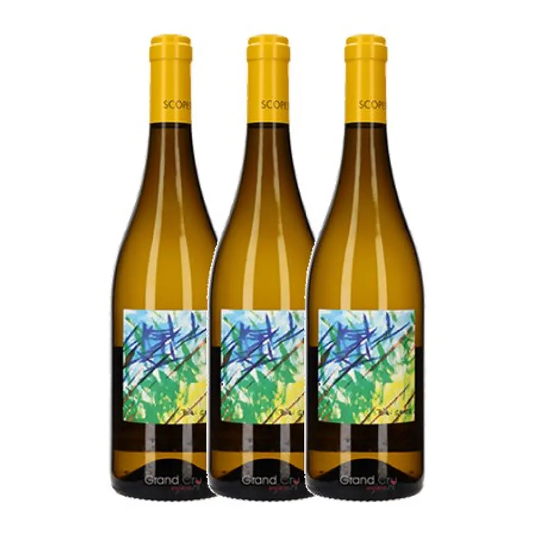 BIBI GRAETZ SCOPETO Tuscany White 2021 3